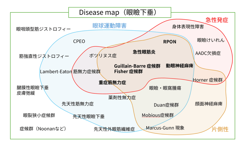眼瞼下垂のdeisase mapと急性発症・片側・眼球運動障害の網